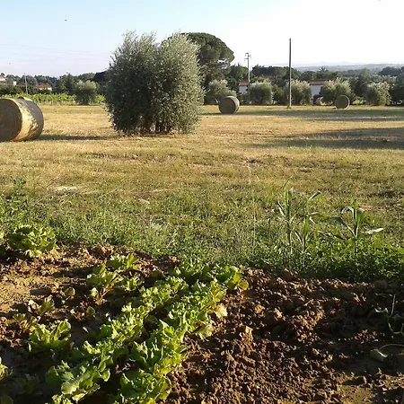 Bed & Breakfast Casa Soleluna 4*