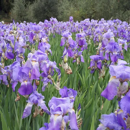 ベッド・アンド・ブレックファスト Casa Soleluna